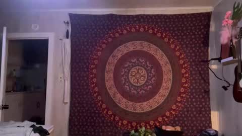 Wolfblazer online show from 02/04/25, 11:27