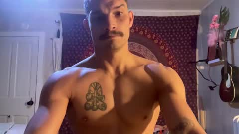 Wolfblazer online show from 02/10/25, 10:53