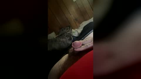 wolfdrose online show from 06/30/26, 06:42
