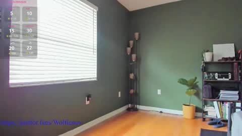 Wolfienov online show from 12/27/24, 03:37