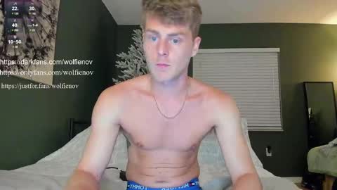 Wolfienov online show from 02/14/25, 12:51