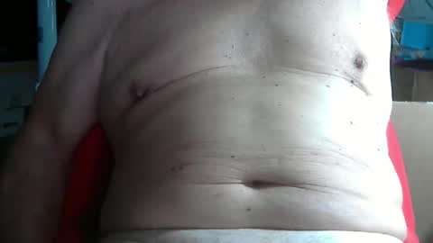 wolfoerl online show from 11/11/25, 03:34
