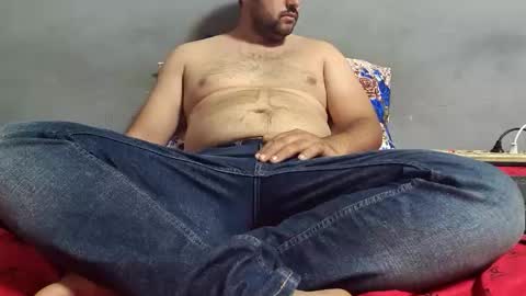 Snapshot of wolfrot chatting on 11/11/25, 03:17 wolf boy online show from 11/11/25, 03:17