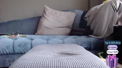 Wonder online show from 12/22/24, 05:34