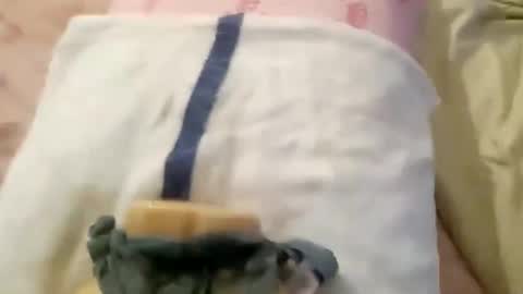 Snapshot of wood6957 chatting on 11/01/25, 12:29 wood6957 online show from 11/01/25, 12:29