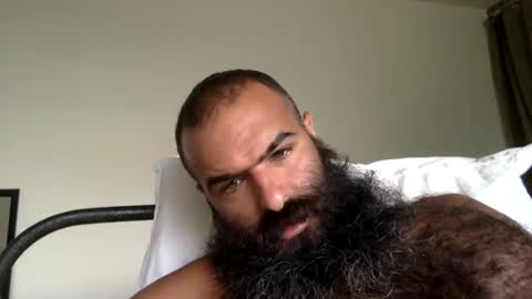 woof_wolf37 online show from 09/11/25, 04:07