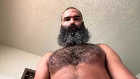 woof_wolf37 online show from 11/01/25, 04:42