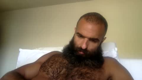 Snapshot of woof_wolf37 chatting on 05/31/26, 05:42 woof_wolf37 online show from 05/31/26, 05:42