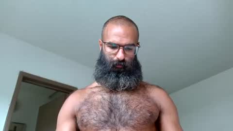 Snapshot of woof_wolf37 chatting on 06/21/26, 03:47 woof_wolf37 online show from 06/21/26, 03:47