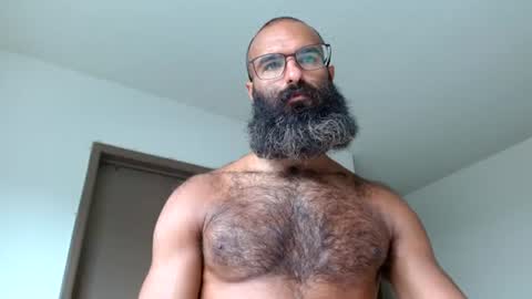 Snapshot of woof_wolf37 chatting on 06/23/26, 04:27 woof_wolf37 online show from 06/23/26, 04:27