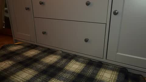 Snapshot of wookmortyy chatting on 12/21/25, 04:25 Sage online show from 12/21/25, 04:25