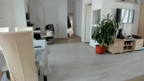 Wolfie online show from 11/25/25, 08:47