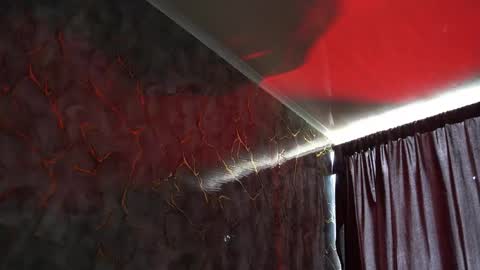 Woondeer online show from 02/02/26, 06:06