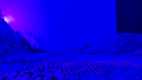 Snapshot of wowsers7 chatting on 11/07/25, 08:03 wowsers7 online show from 11/07/25, 08:03