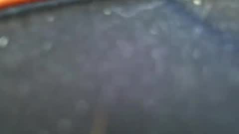 wrangleat0r online show from 01/28/25, 11:50