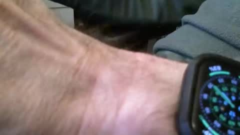 wrangleat0r online show from 11/16/25, 09:20