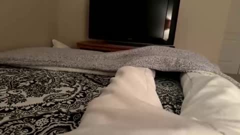 Wsteel66 online show from 02/24/26, 03:48