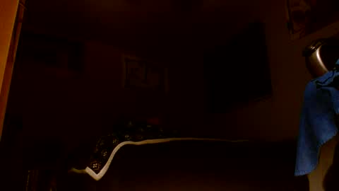 wvuguy1986 online show from 03/08/26, 05:22