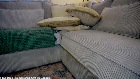 Lily online show from 03/04/26, 04:46