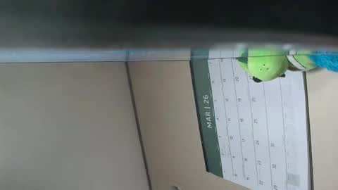 x_man2026 online show from 03/18/26, 02:37