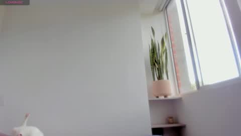 Xavier online show from 01/18/26, 08:34