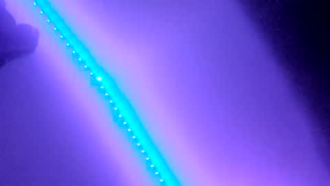 BabyGirl online show from 12/30/24, 09:27