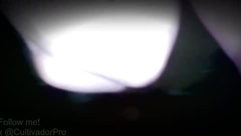 Mr Balax online show from 07/28/26, 03:21
