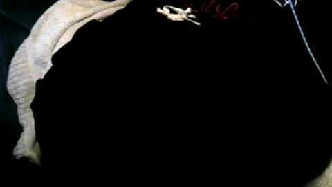 Toke online show from 12/12/24, 06:57