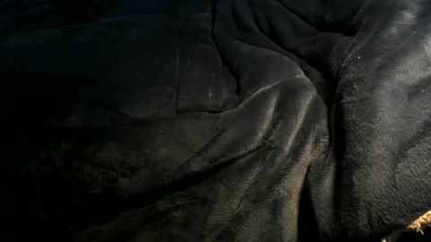 Toke online show from 01/06/25, 12:35