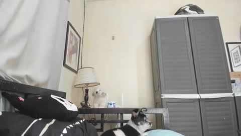 Snapshot of xdreamangel chatting on 01/03/25, 07:16 xdreamangel online show from 01/03/25, 07:16