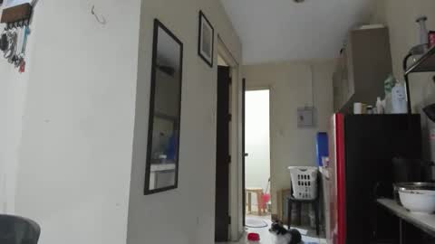 Snapshot of xdreamangel chatting on 01/27/25, 12:58 xdreamangel online show from 01/27/25, 12:58