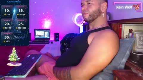 Snapshot of xein_wolf chatting on 12/08/24, 03:02 Xein Independent Model online show from 12/08/24, 03:02