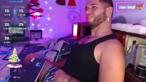 Snapshot of xein_wolf chatting on 12/22/24, 02:49 Xein Independent Model online show from 12/22/24, 02:49