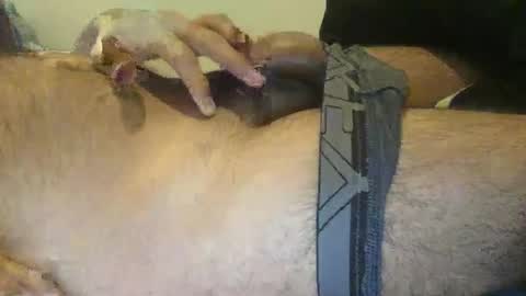 Snapshot of xenextra chatting on 12/03/24, 10:39 xenextra online show from 12/03/24, 10:39