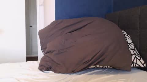 Snapshot of xhotfanx chatting on 01/01/25, 11:05 xhotfanx online show from 01/01/25, 11:05