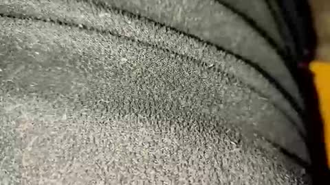 ximradiaz online show from 11/23/25, 01:27