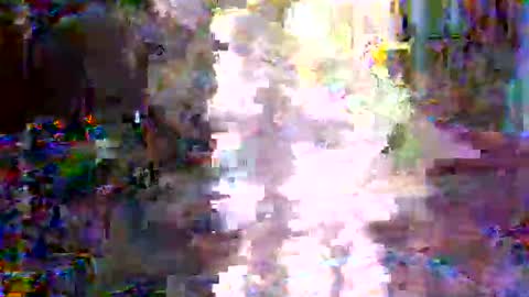 Snapshot of xixo6969 chatting on 02/03/26, 02:53 xixo6969 online show from 02/03/26, 02:53