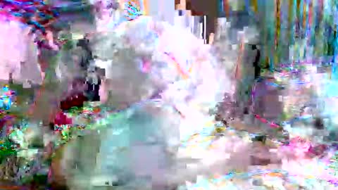 Snapshot of xixo6969 chatting on 02/20/26, 05:15 xixo6969 online show from 02/20/26, 05:15