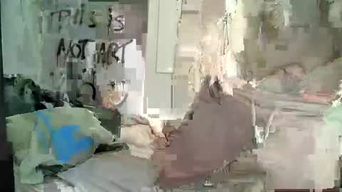 Wendy online show from 12/28/24, 12:24