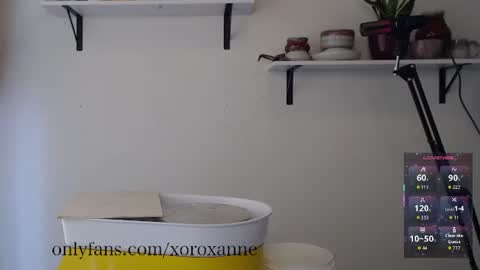 xoroxanne online show from 02/11/26, 08:36