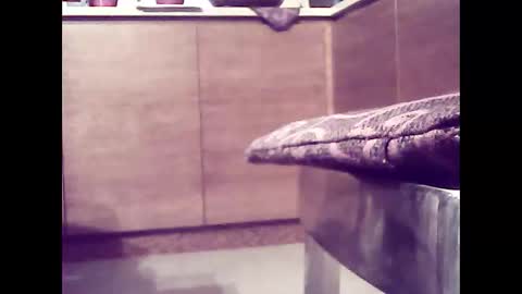 Snapshot of xsoul72 chatting on 02/26/25, 04:56 xsoul72 online show from 02/26/25, 04:56