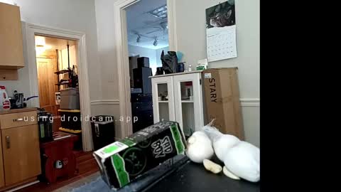 Snapshot of xstay_coldx chatting on 02/10/25, 06:24 Johnny online show from 02/10/25, 06:24