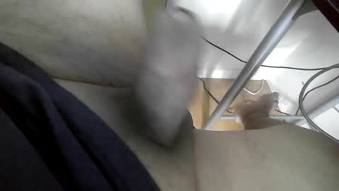 xxenryxx92 online show from 06/15/26, 04:20