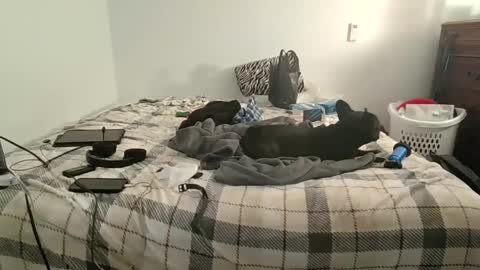 XxJasoncxX online show from 12/10/24, 06:33