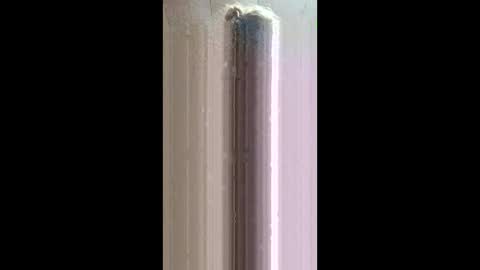 xxjessiebugxx online show from 05/20/26, 02:40