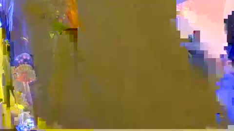 Kelsey online show from 02/05/26, 03:00