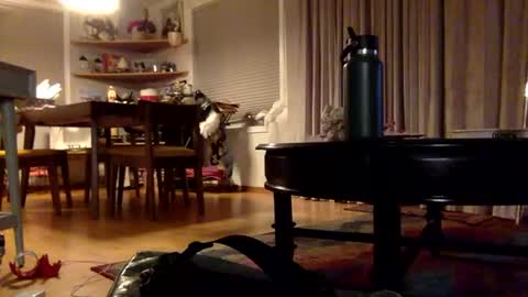 Snapshot of xxtina69x chatting on 12/02/24, 03:37 yayalala online show from 12/02/24, 03:37