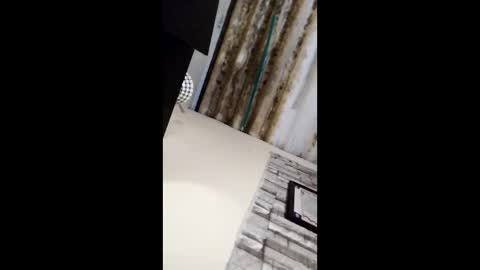 xxx13f2 online show from 02/22/26, 04:46