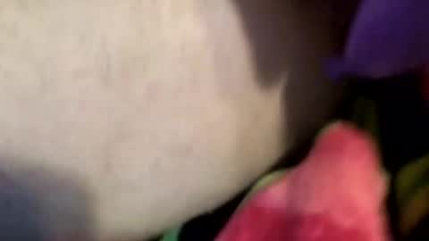 XxXCoupleOrgasmicXxX online show from 04/04/26, 07:00