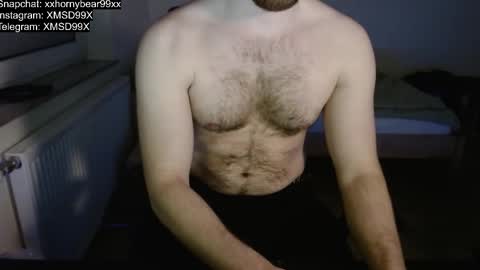 Snapshot of xxxhornybear99xxx chatting on 11/30/25, 06:56 Matthias online show from 11/30/25, 06:56